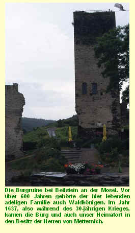 Burgruine bei Beilstein an der Mosel