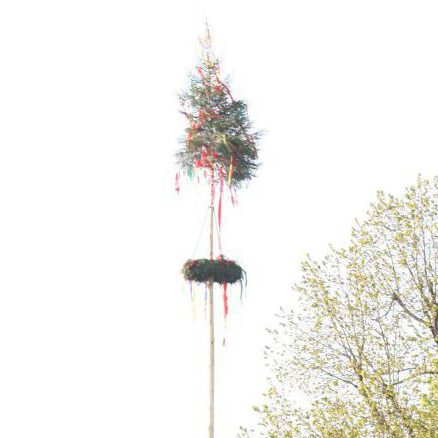 Geschmückter Maibaum auf dem Platz neben dem Bürgerhaus in Waldkönigen.