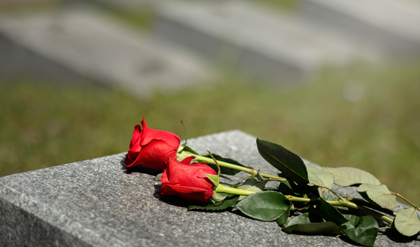 Zwei Rosen liegen auf einem Grabstein